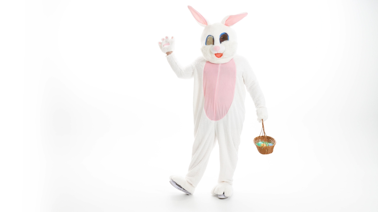 FUN7071PL Adult Mascot Easter Bunny